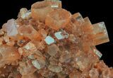 Aragonite Twinned Crystal Cluster - Morocco #59799-2